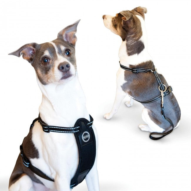 K&H Pet Products Travel Safety Harness | Padded Dog Vest - Extra Large Black