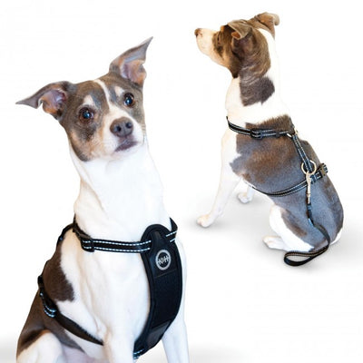K&H Pet Products Travel Safety Harness | Padded Dog Vest - Extra Large Black