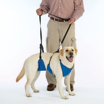 Pet Edge Total Pet Health 4-in-1 Lift & Lead Dog Harness, Small, Blue