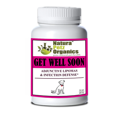get well soon adjunctive lipoma infection defense dog 90 caps no flavor