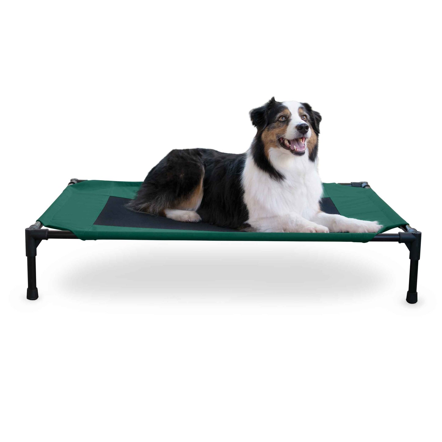 K&H Pet Products Elevated Pet Cot – Large Outdoor Dog Bed, Green/Black