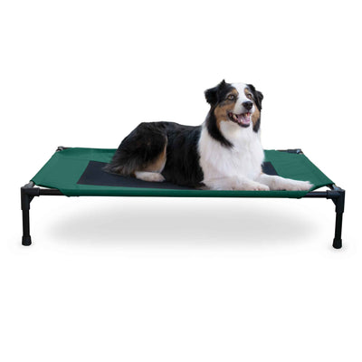 K&H Pet Products Elevated Pet Cot – Large Outdoor Dog Bed, Green/Black