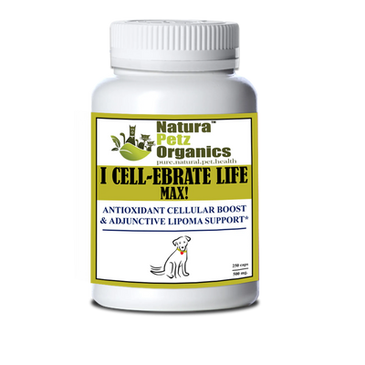i cellebrate life max antioxidant cellular boost dog 500 mg