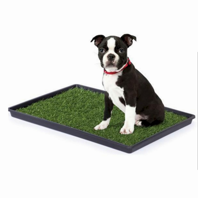 Mr. Peanut's Potty Place | Artificial Grass Puppy Pad for Small Pets