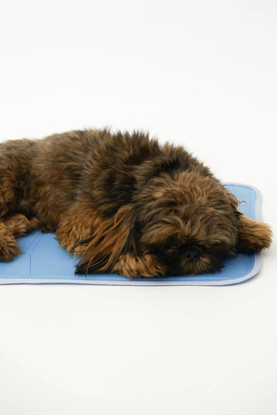 The Green Pet Shop Cool Pet Pad – Pressure-Activated Dog Cooling Mat, Medium