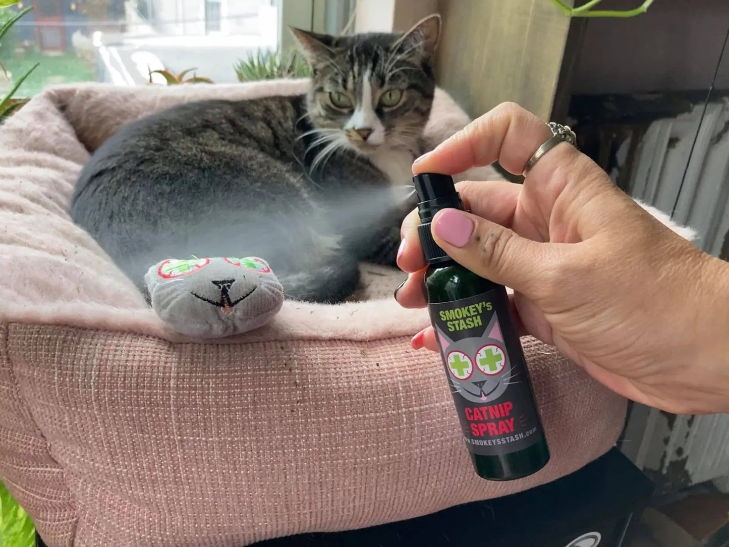 Organic Catnip Spray by Smokey's Stash – 2oz Essential Oil Mist