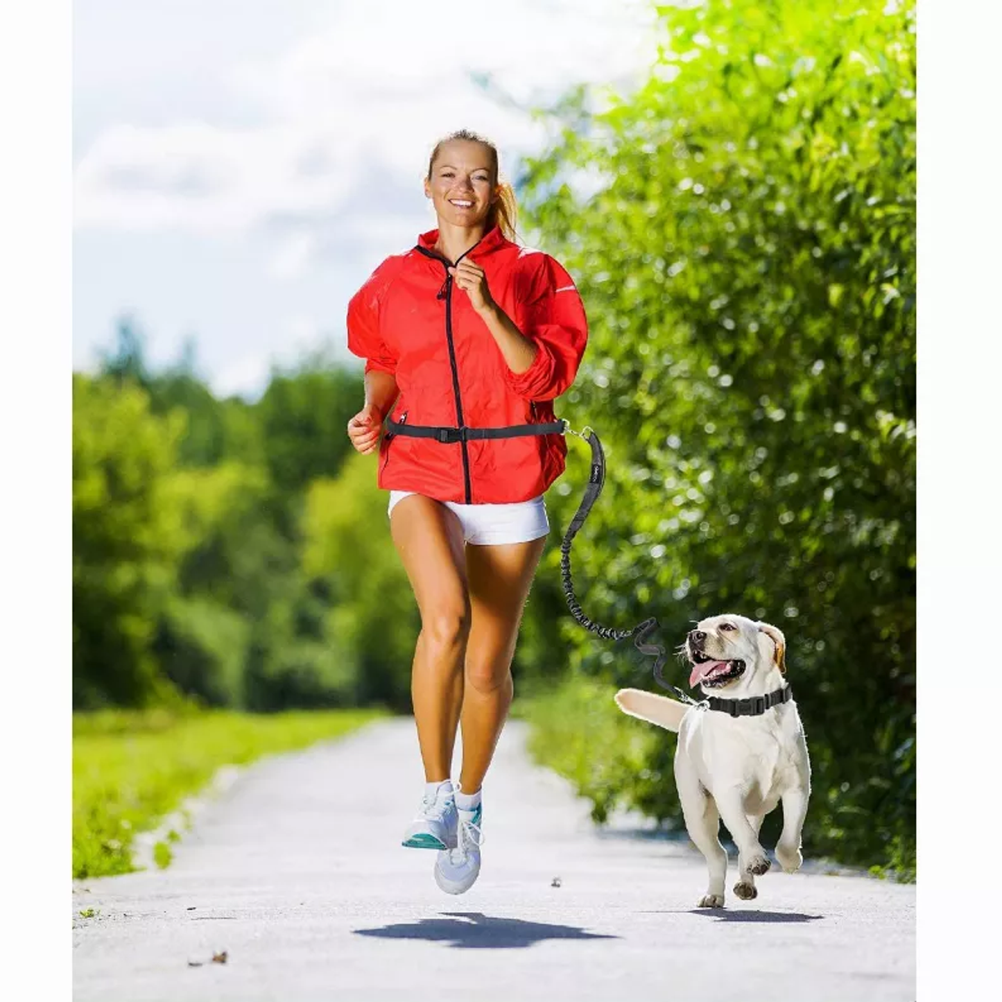JESPET Hands Free Dog Leash – Reflective Bungee Leash for Running, Red