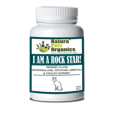 i am a rock star memory gland hypothalamic pituitary cat 250 mg 150 cap