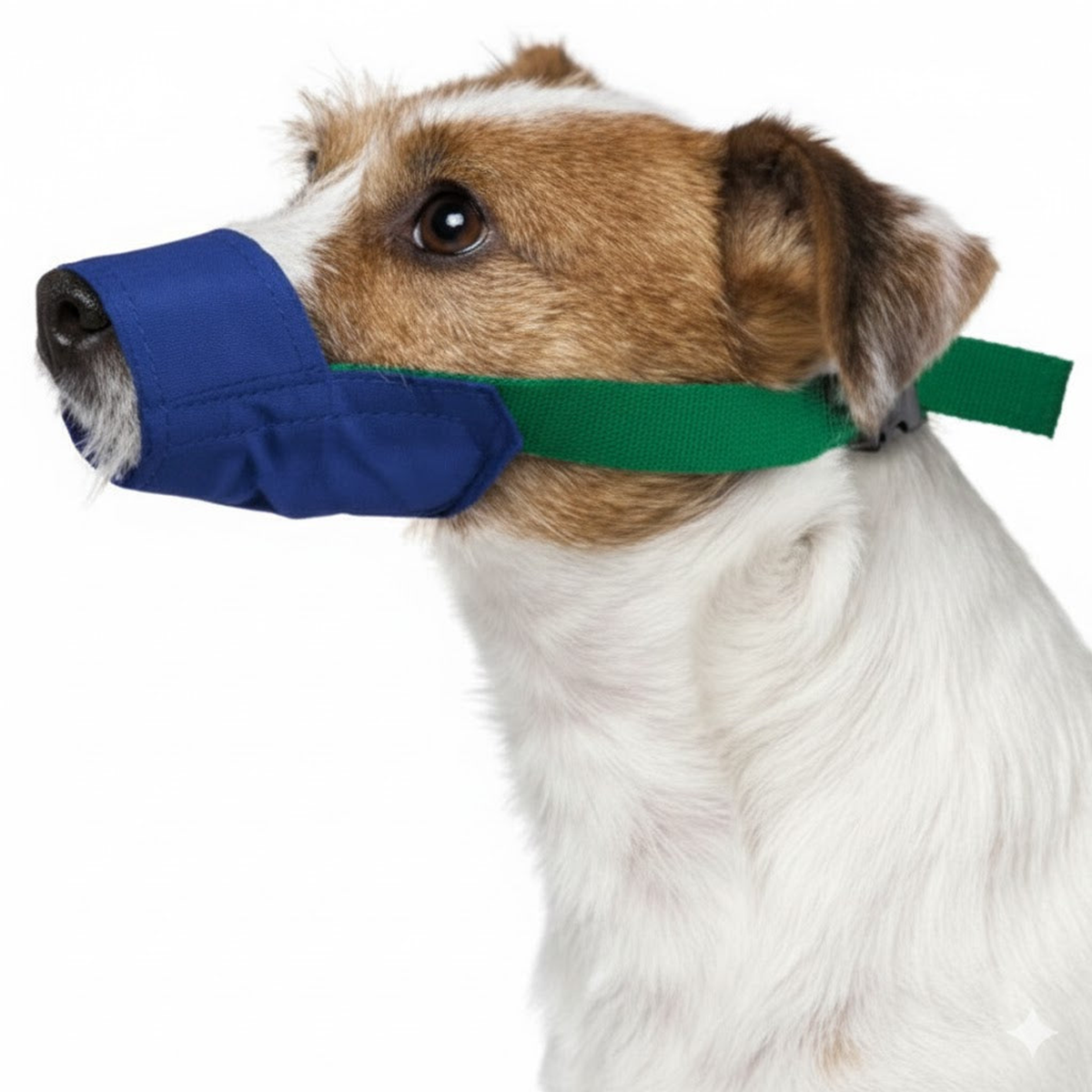 Color-Coded Strap Quick Muzzle for Dogs, Large, Blue