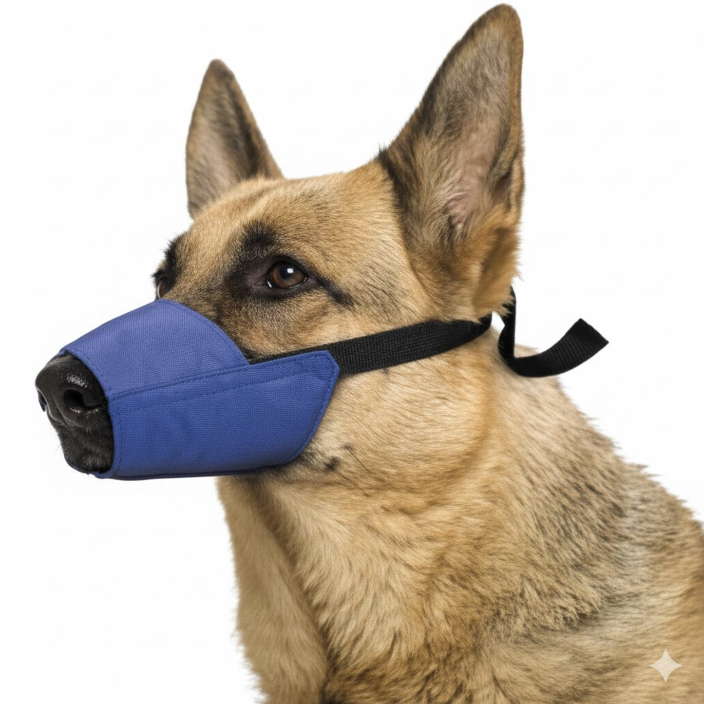 Color-Coded Strap Quick Muzzle for Dogs, XL, Blue