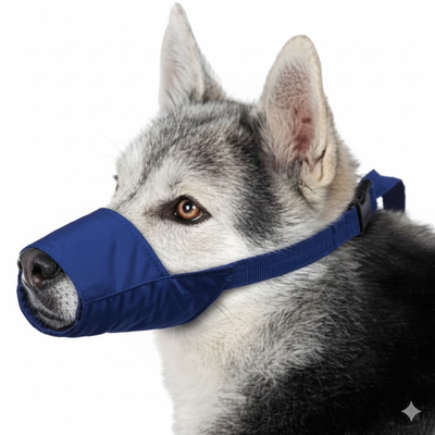 Color-Coded Strap Quick Muzzle for Dogs, XXL, Blue