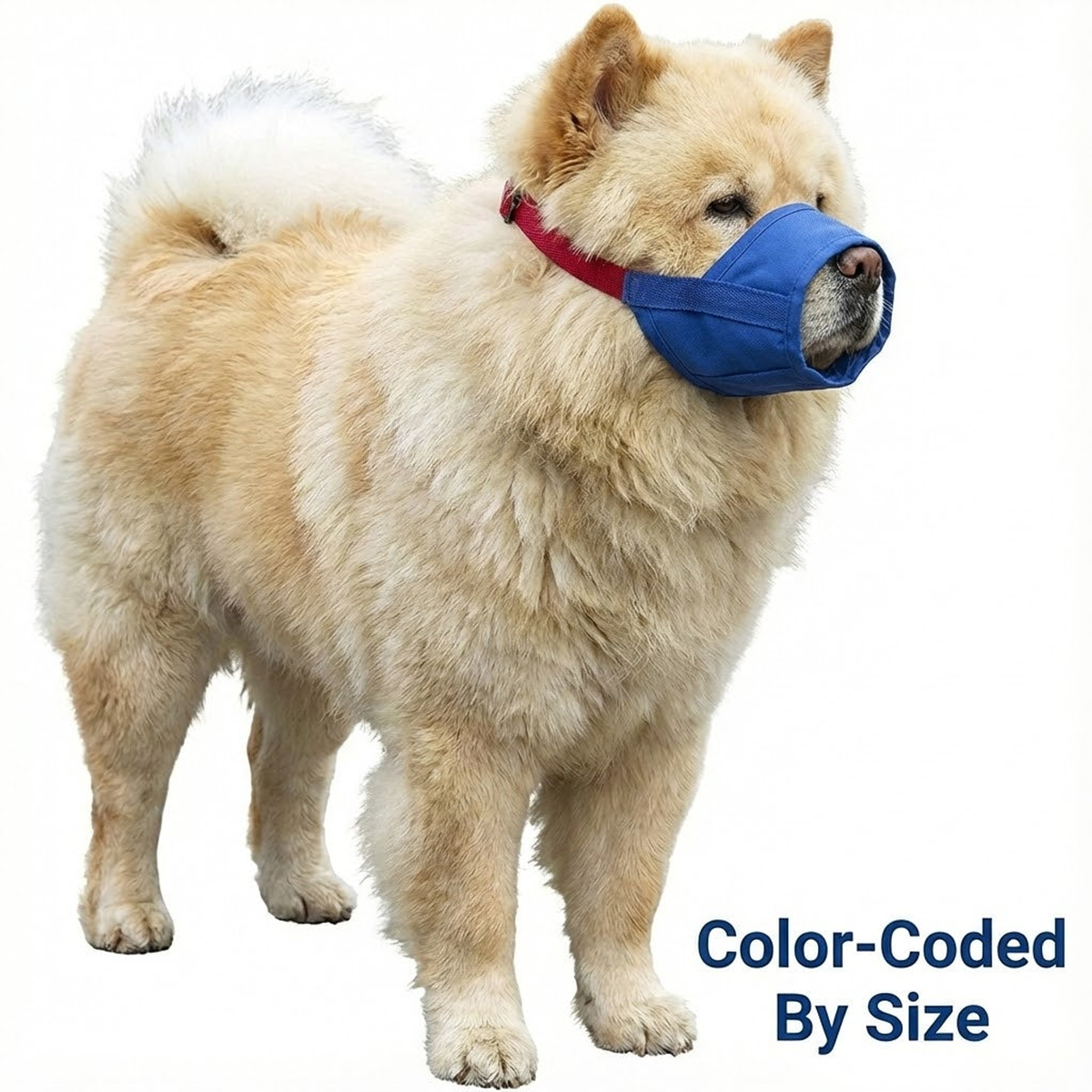 Short Snout Color-Coded Quick Muzzle, Large, Blue