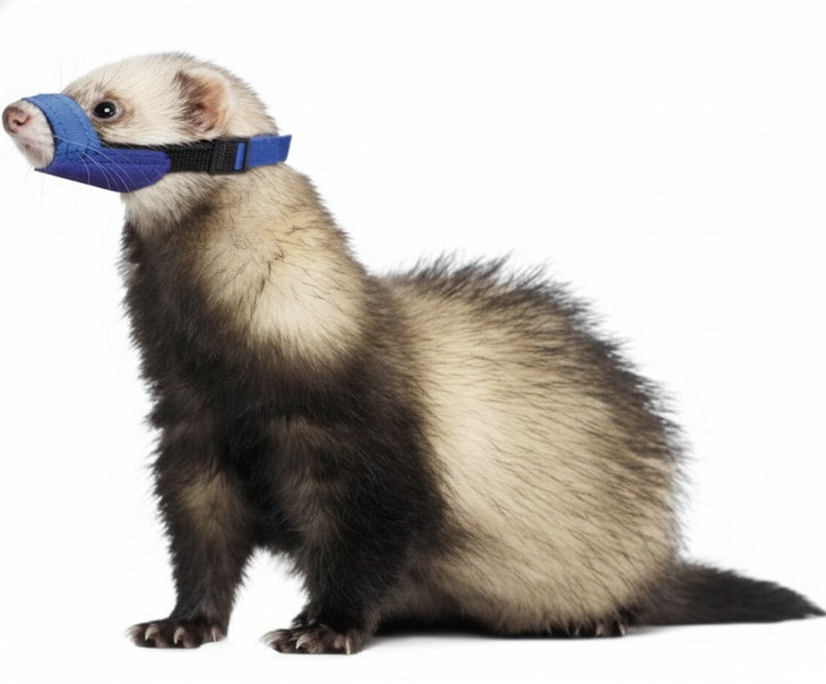 Quick Muzzle for Ferrets, Blue