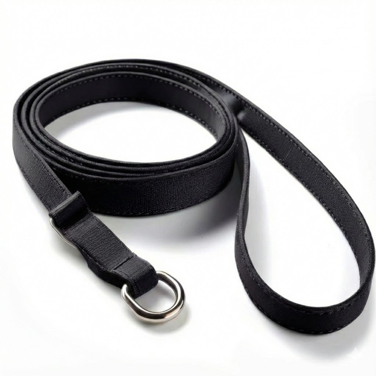 Pet Slip Leash, Black