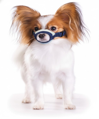 Cozy Quick Muzzle for Dogs, Large, Blue