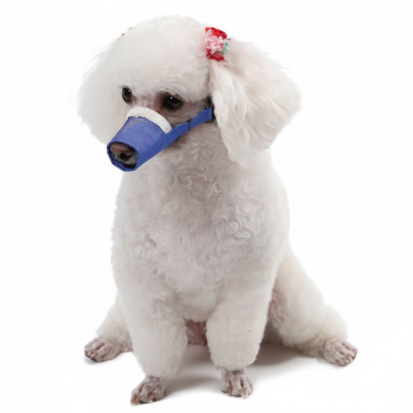 Cozy Quick Muzzle for Long Snout Dogs, Large, Blue