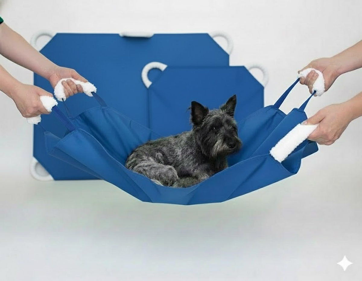 Soft Quick Carry Animal Stretcher, Small & Large Set, Blue