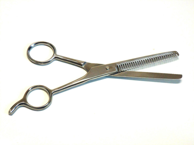 Hashir Products 6.5" Stainless Steel Pet Dog Cat Thinning Scissors