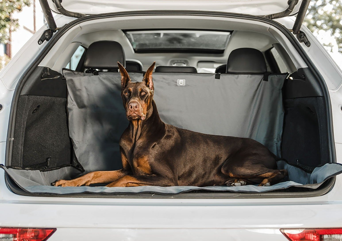 GF Pet Pet Cargo Cover, One Size 50" X 59" , Grey