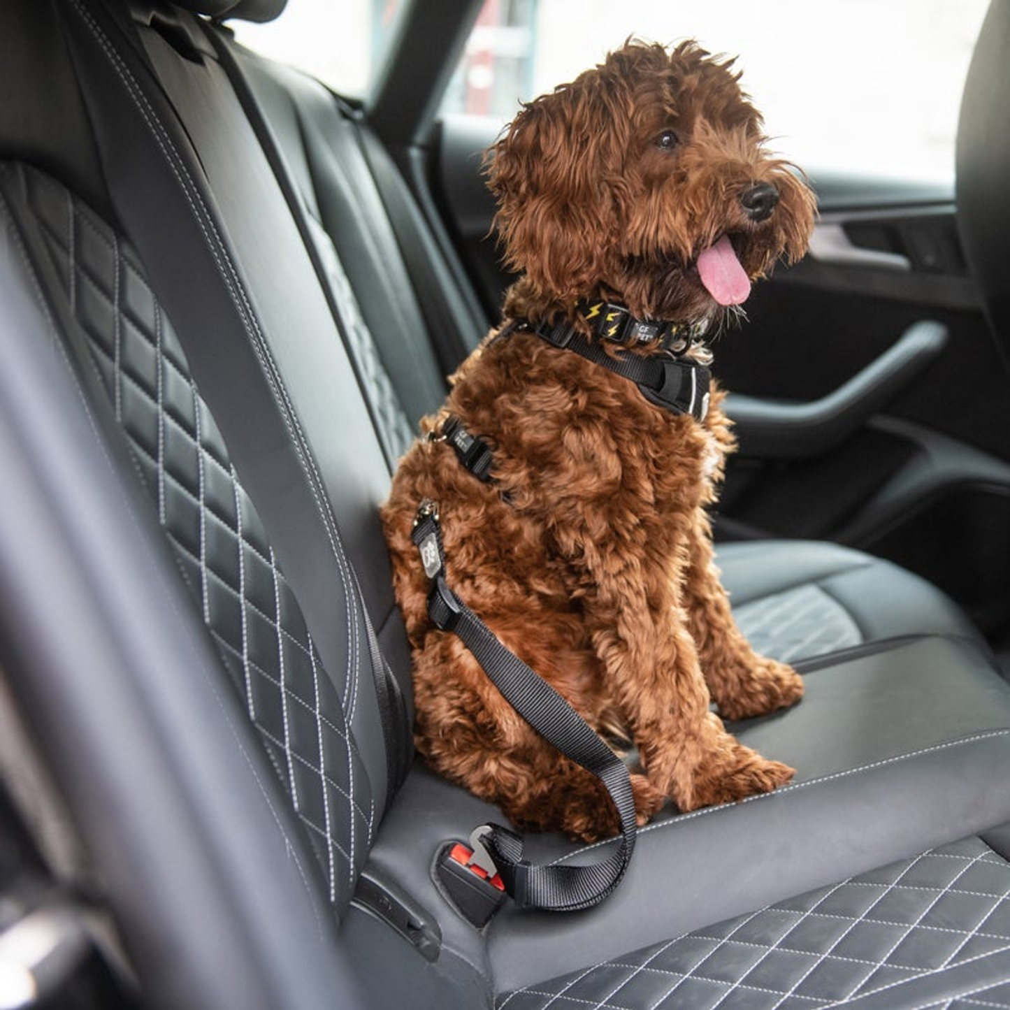 GF Pet Pet Seat Belt Tether Black, Adjustable Length 20"-30", Black