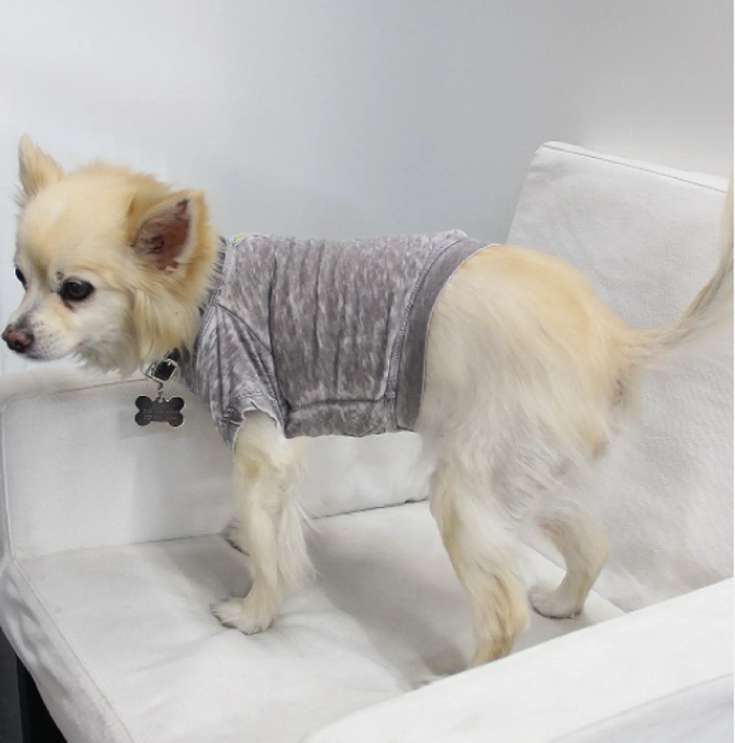 Doggy Tee, Large, Plum