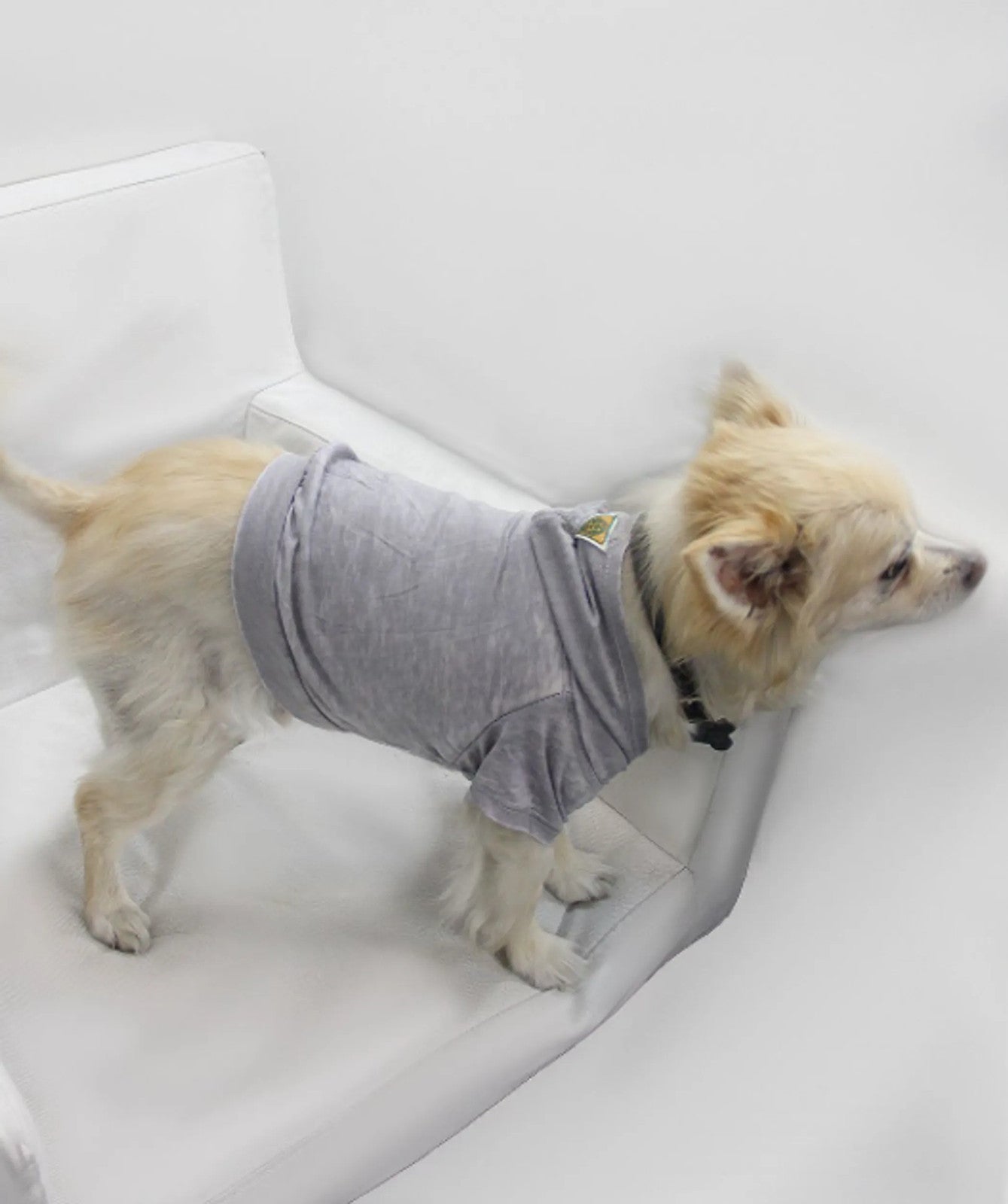 Doggy Tee, Small, Plum