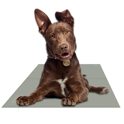 The Green Pet Shop Chillz Pet Cooling Gel Mat – Sage Gray, Medium