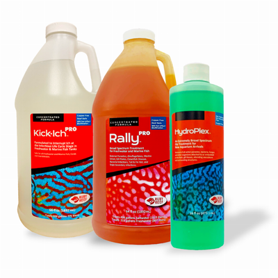 Ruby Reef PRO 64+Hydro Bundle | Rally PRO, Kick-Ich PRO & HydroPlex Dip