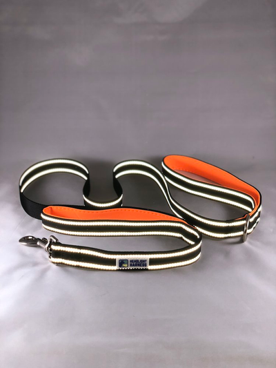 Headlight Harness Reflective Double Handle Dog Leash, 6ft - Orange