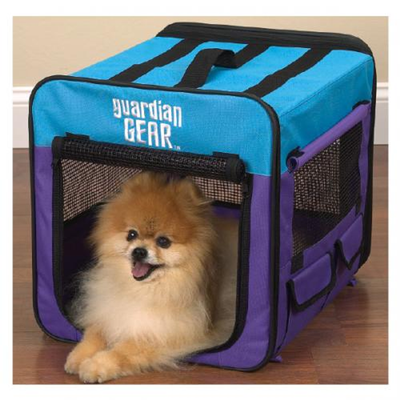 Guardian Gear Collapsible Dog Travel Crate | Turquoise, Extra Small