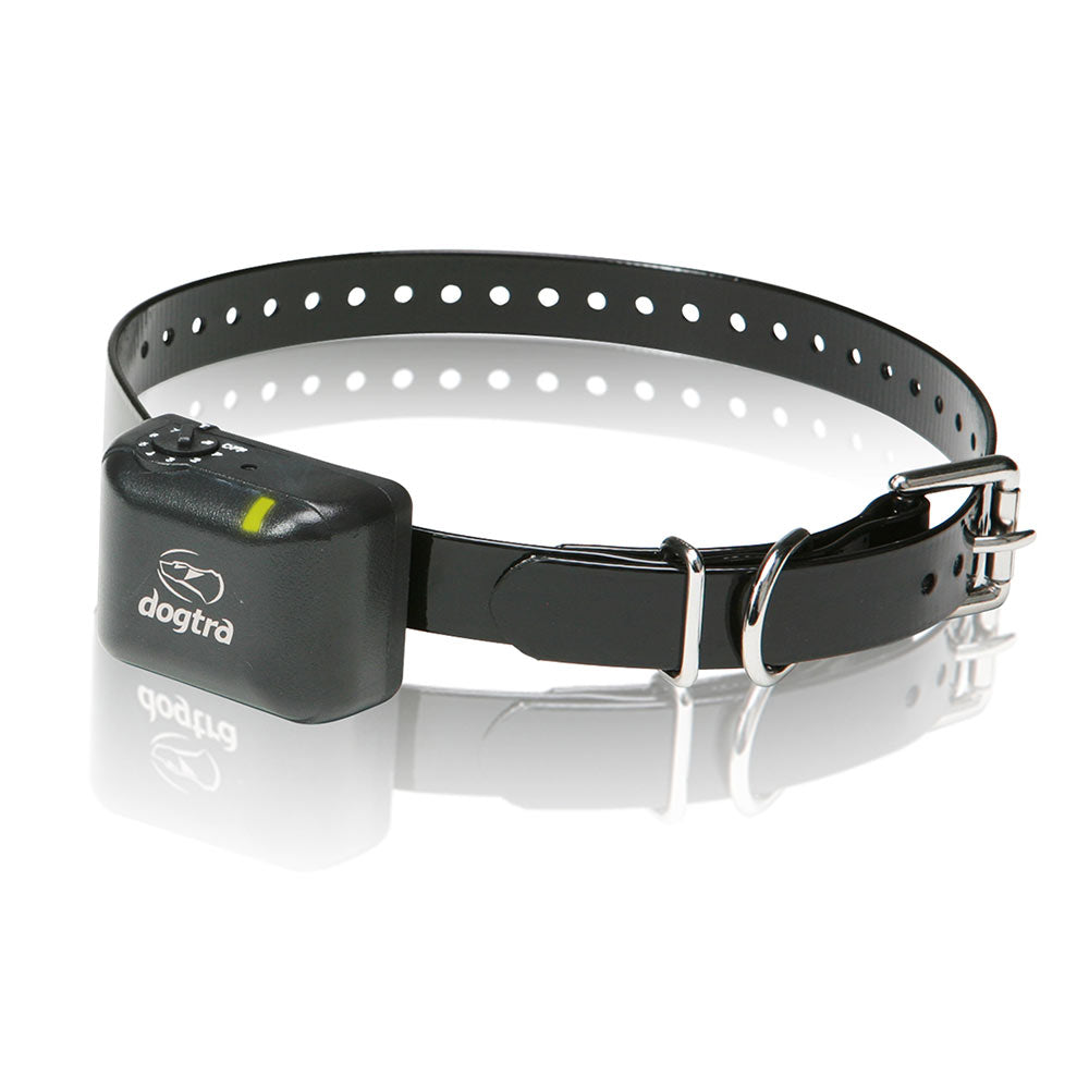 Dogtra YS300 No Bark Collar – Waterproof Training Collar for Small Dogs