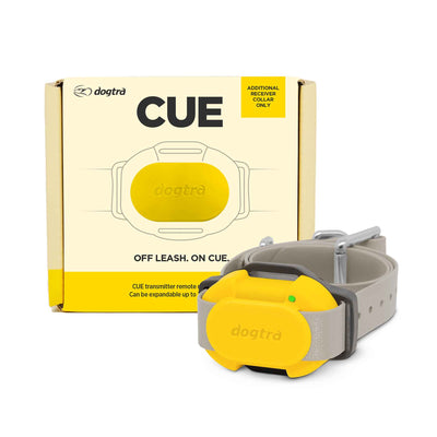Dogtra CUE Additional Receiver Collar - Yellow Waterproof Training Collar