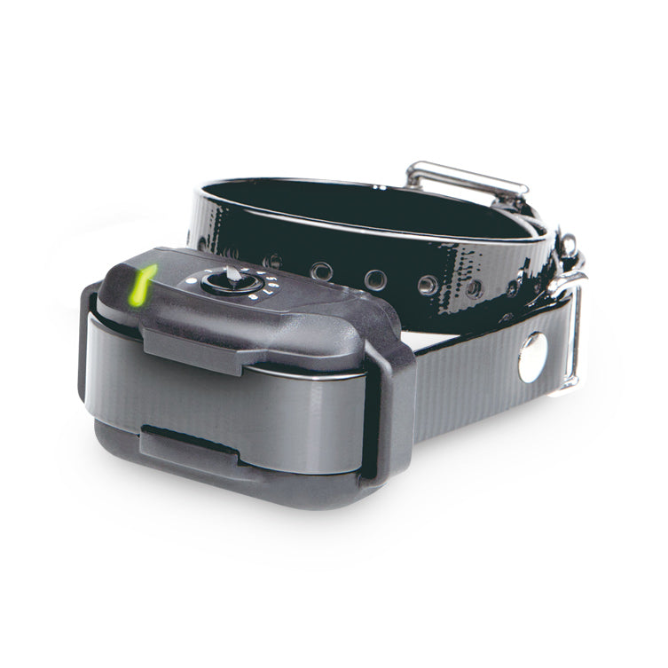 Dogtra E-Fence 3500 Add-A-Collar – Waterproof Receiver for Dogs 15 lbs+