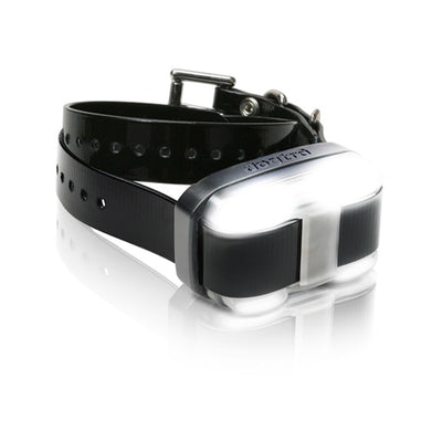 Dogtra EDGE Extra Dog Collar – 1 Mile Range Waterproof Receiver, Black