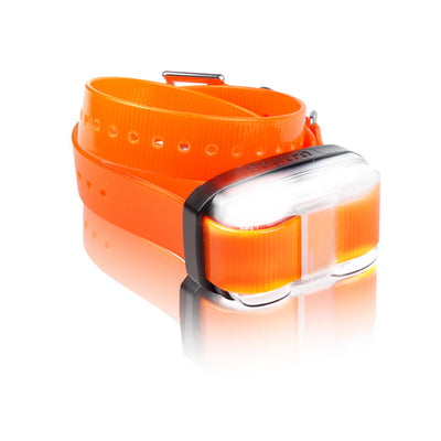 Dogtra EDGE Extra Receiver Dog Collar - Waterproof 1-Mile Range Orange