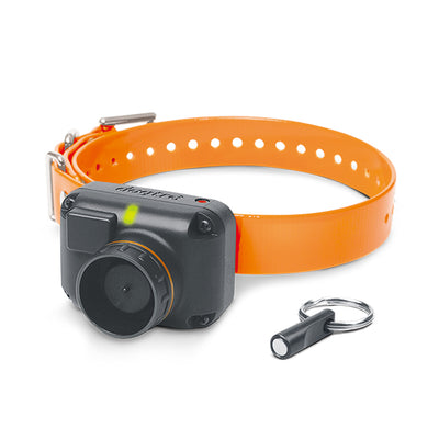 Dogtra STB Beeper Collar – Waterproof Hunting Dog Collar with 2 Modes