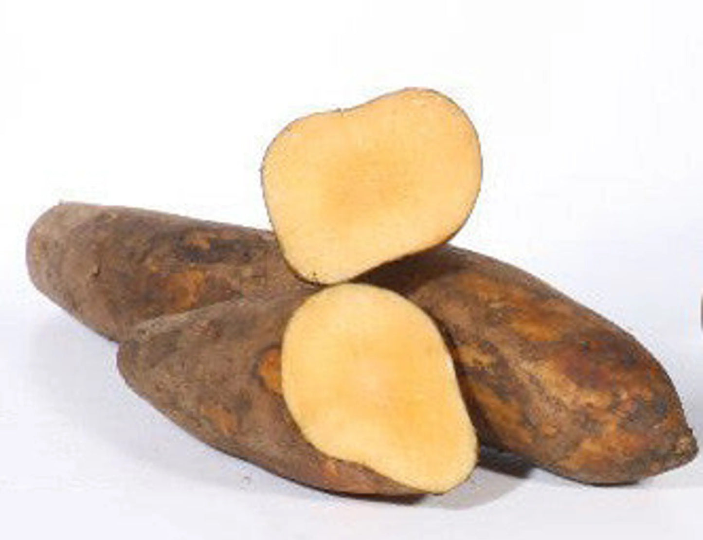 Organic Pet Systems Dog Diabetes & Glucose Support Probiotic – 250 Capsules