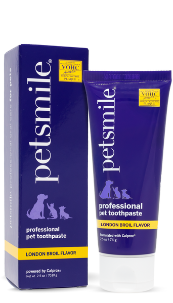 Professional Pet Toothpaste London Broil Flavor Small