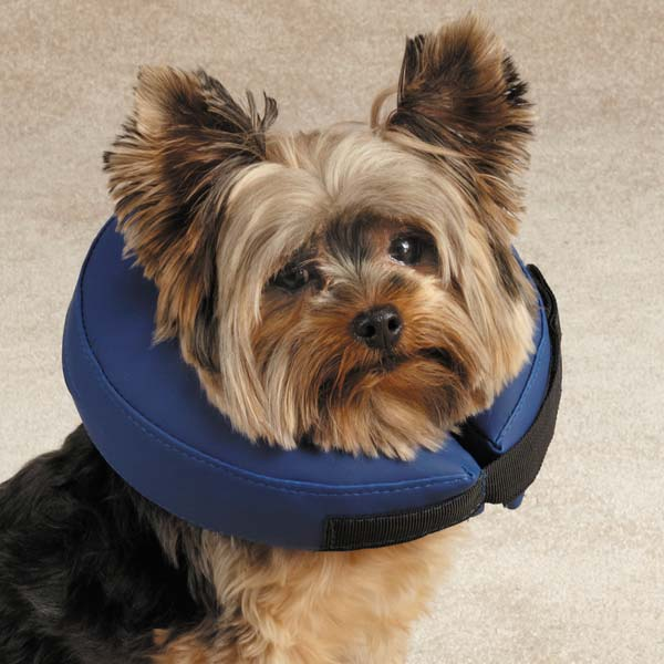 Pet Edge Inflatable Dog Collar – Large Blue Protective Recovery Neck Cone