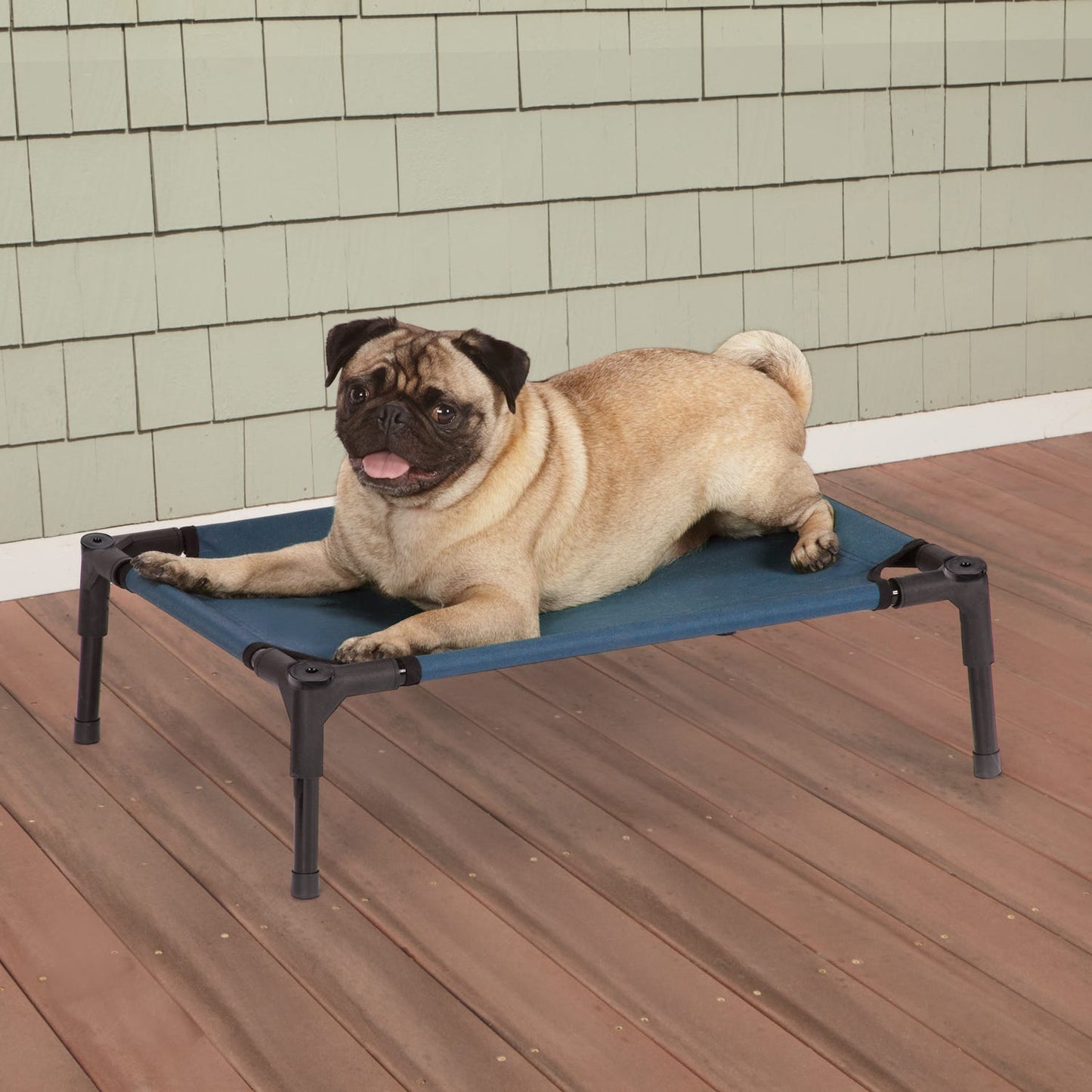 Guardian Gear Pet Cot Blue M