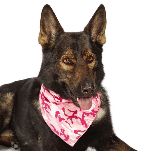 aria camo bandana pnk