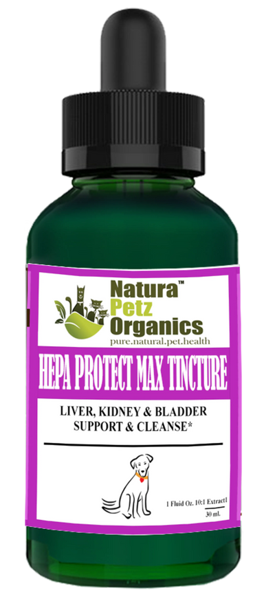 hepa protect max tincture liver kidney bladder dog 1 fl oz 10 1