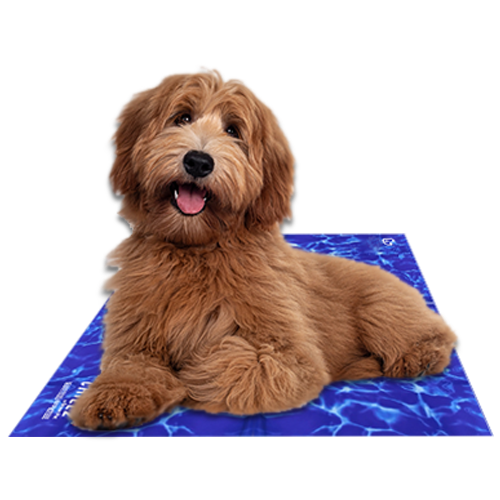 The Green Pet Shop Chillz Gel Cooling Mat for Dogs and Cats - Medium Wave