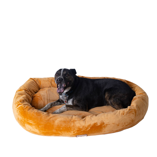 Armarkat Bolstered Pet Bed and Mat, ultra-soft Dog Bed 43"L x 30" W x 6" H