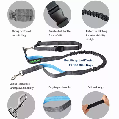 JESPET Hands-Free Bungee Dog Leash – Reflective Shock-Absorbing Blue