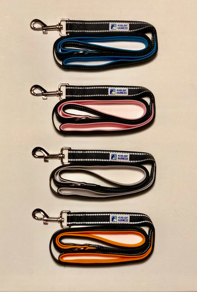 Headlight Harness Reflective Double Handle Dog Leash - 6ft, Grey