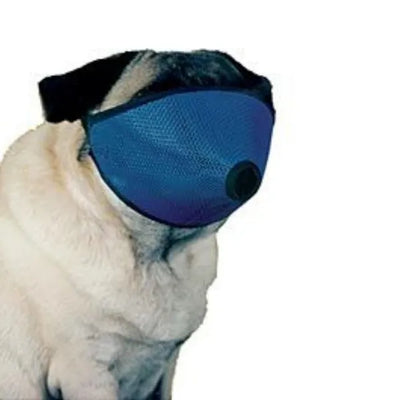 Short Nose Dog Muzzle