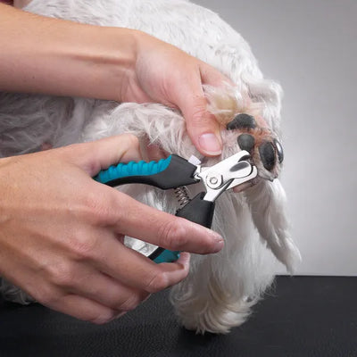Master Grooming Tools Ergonomic Pro Dog Nail Clippers