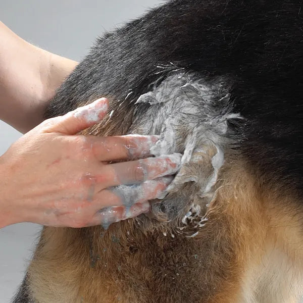 Top Performance Pro Formula Pet Degreaser Paste for Dogs & Cats, 16oz