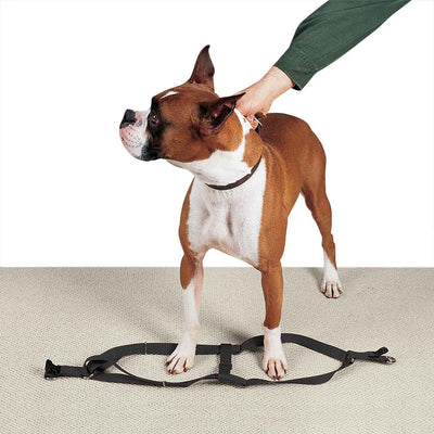 casual canine nylon 2 step harness 9 15in black
